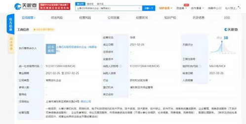 王思聰布局前沿科技領(lǐng)域，控股公司新設(shè)子公司聚焦電子與網(wǎng)絡(luò)技術(shù)